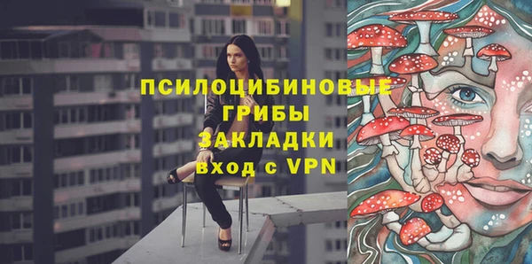 spice Абинск