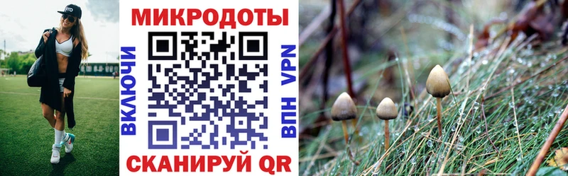 Псилоцибиновые грибы мицелий  Красноперекопск 
