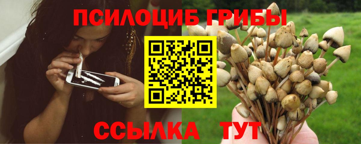 Галлюциногенные грибы MAGIC MUSHROOMS  Вход с VPN  Псилоцибиновые грибы мухоморы  Красноперекопск 
